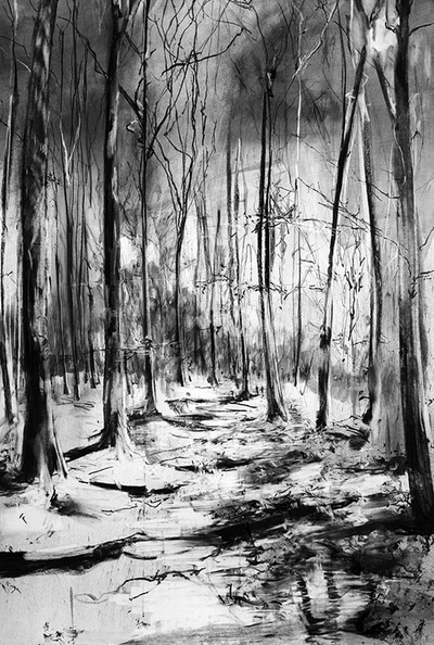 LANDSCAPES - by Charcoal